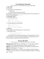 Cách trình bày 1 SKKN