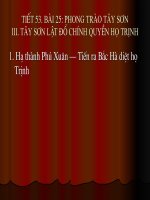 Tiet 53  Phong Trao Tay son (T3)