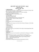 Bài viết số 5 lớp 6 (10-11)