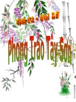 Bai 25 PHONG TRAO TAY SON T1