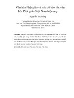 Văn hóa Phật giáo và vấn đề bảo tồn văn hóa Phật giáo Việt Nam hiện nay