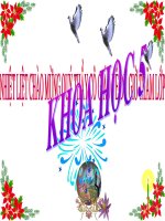 vai trò của môi trường tự nhiên đối với đời sống con người