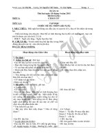 GIAO AN _ LOP 2 - TUAN 31