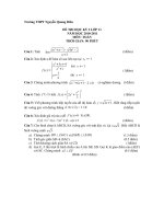 Đề + Đáp án hk2 Toan 11 năm 2010-2011