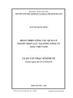 Hoàn thiện công tác quản lý nguồn nhân lực tại Tổng Công ty giấy Việt Nam