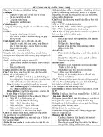 DE CUONG ON TAP CONG NGHE 6 KY II NAM 2010-2011