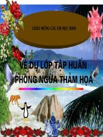 Bài 4: SẠT LỞ ĐẤT