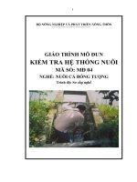 giáo trình mô đun kiểm tra hệ thống nuôi nghè nuôi cá bống tượng