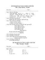 ĐỀ KSCL CUỐI NĂM LỚP 1. HAY