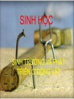 thực hành: xem phim về sinh trưởng và phát triển ở động vật