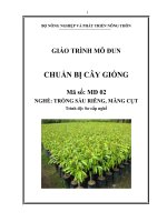 giáo trình mô đun chuẩn bị cây giống nghề trồng sầu riêng măng cụt