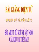 LT&C T17 TỪ NGỮ VỀ VẬT NUÔI. CÂU KIỂU AI THẾ NÀO ?