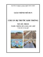 Giáo trình MD01   chuẩn bị trước trồng nghề trồng dưa hấu dưa bở