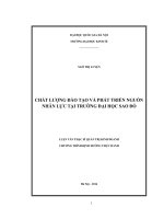 Chất lượng đào tạo và phát triển nguồn nhân lực tại Trường Đại học Sao Đỏ