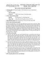 Đề cương chi tiết học phần tiểu luận tốt nghiệp - KN