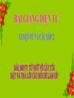 LT&C T29 TỪ NGỮ VỀ CÂY CỐI. ĐẶT VÀ TRẢ LỜI CÂU HỎI ĐỂ LÀM GÌ?