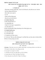 Ngữ Văn 6-7-8 - 9 HK II (2010-2011)