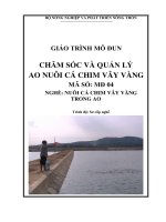 giáo trình chăm sóc và quản lý ao nuôi cá chim vây vàng