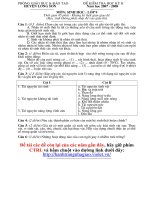 Đề thi HK II môn Sinh Học 9 - Huyện Lương Sơn 08