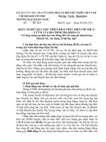 Báo cáo thực hiện chỉ thi 11 BCT