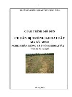 giáo trình mô đun chuẩn bị trồng khoai tây