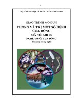 giáo trình mô đun phòng và trị một số bệnh của cua đồng