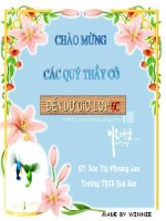 Tiết 102 - Biểu đồ phần trăm