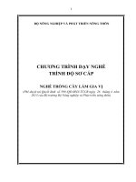 1 chương trình chi tiết nghề trồng cây làm gia vị