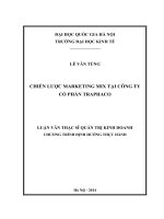 Chiến lược Marketing Mix tại Công ty Cổ phần Traphaco