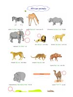 Từ vựng theo chủ đề