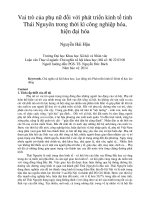 Vai trò của phụ nữ đối với phát triển kinh tế tỉnh Thái Nguyên trong thời kì công nghiệp hóa, hiện đại hóa