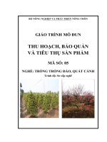 Giáo trình MD 05  thu hoạch, bảo quản, tiêu thụ