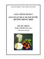 giáo trình mô đun sản xuất quả ngâm nước đường đóng hộp