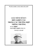giáo trình đièu khiển tàu trong các hoạt động thông thương