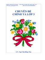 chuyên đề CHÍNH TẢ lớp 3 năm 2011
