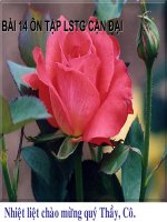 bai 14 on tap lich su the gioi