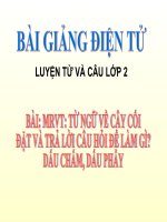 LT&C T28 TỪ NGỮ VỀ CÂY CỐI. ĐẶT VÀ TRẢ LỜI CÂU HỎI ĐỂ LÀM GÌ? DẤU CHẤM, DẤU PHẨY