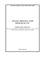 Chương trinh dạy nghề chăn nuôi cừu