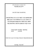 Ảnh hưởng cấu trúc tài chính đến hiệu quả tài chính của các công ty ngành khai khoáng niêm yết trên thị trường chứng khoán Việt Nam