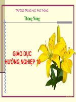 Em thích nghề gì