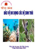 Tiết 63 Bảo vệ đa dạng các hệ sinh thái