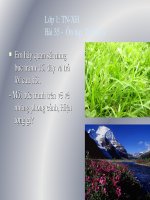 Tuần 35 Ôn tập tự nhiên - TNXH 1