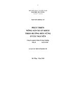 tóm tắt luận án tiến sĩ Phát triển nông sản xuất khẩu theo hướng bền vững ở Tây Nguyên