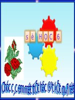 ÔN tập học kì II toán 6