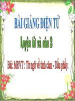 LT&C T12 TỪ NGỮ VỀ TÌNH CẢM. DẤU PHẨY