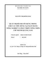 QUẢN TRỊ RỦI RO TÍN DỤNG TRONG CHO VAY TIÊU DÙNG TẠI NGÂN HÀNG NÔNG NGHIỆP VÀ PHÁT TRIỂN NÔNG THÔN CHI NHÁNH QUẢNG NAM