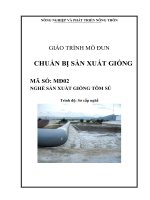 giáo trình chuẩn bị sản xuất gióng nghề sản xuất giống tôm sú