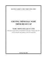 Chương trinh dạy nghề trồng đào, quất cảnh