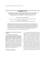 Hình phạt tử hình trong pháp luật hình sự Việt Nam Giữ nguyên hay cần giảm và tiến tới loại bỏ