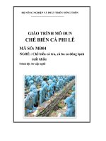 giáo trình chế biến cá phi lê nghề chế biến cá tra cá ba sa đông lạnh xuất khẩu